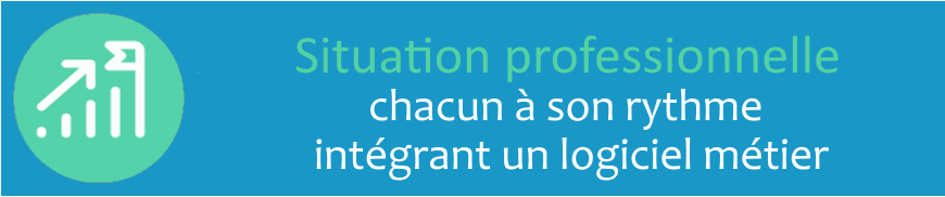 Situations professionnelles