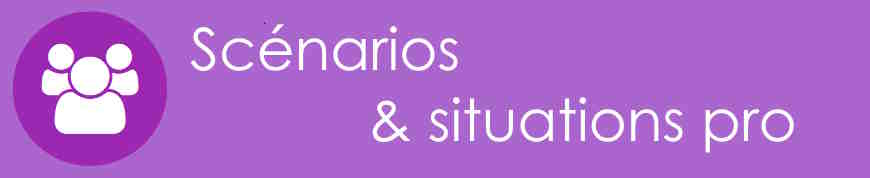 Scénarios et Situations pro.